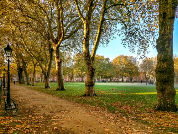 A wide angle view of Queens Square Bristol