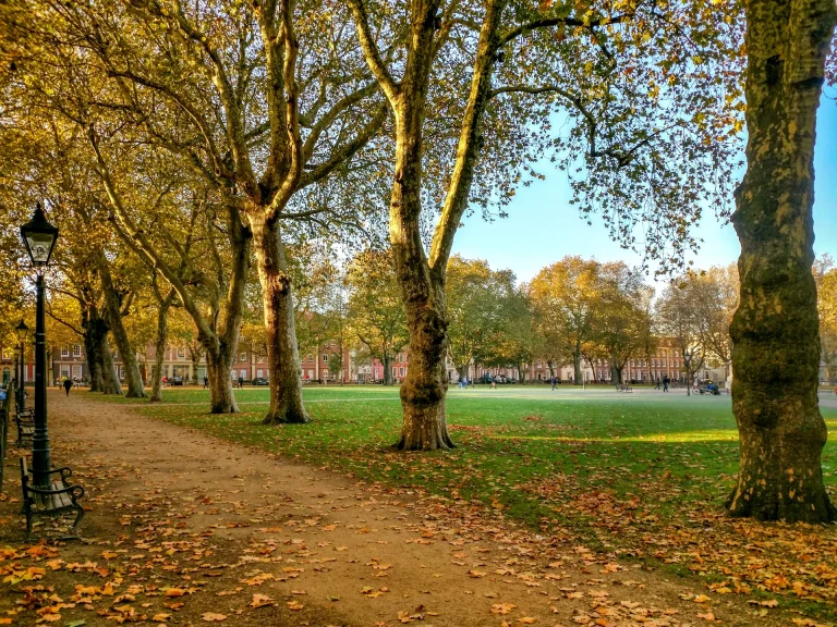 A wide angle view of Queens Square Bristol